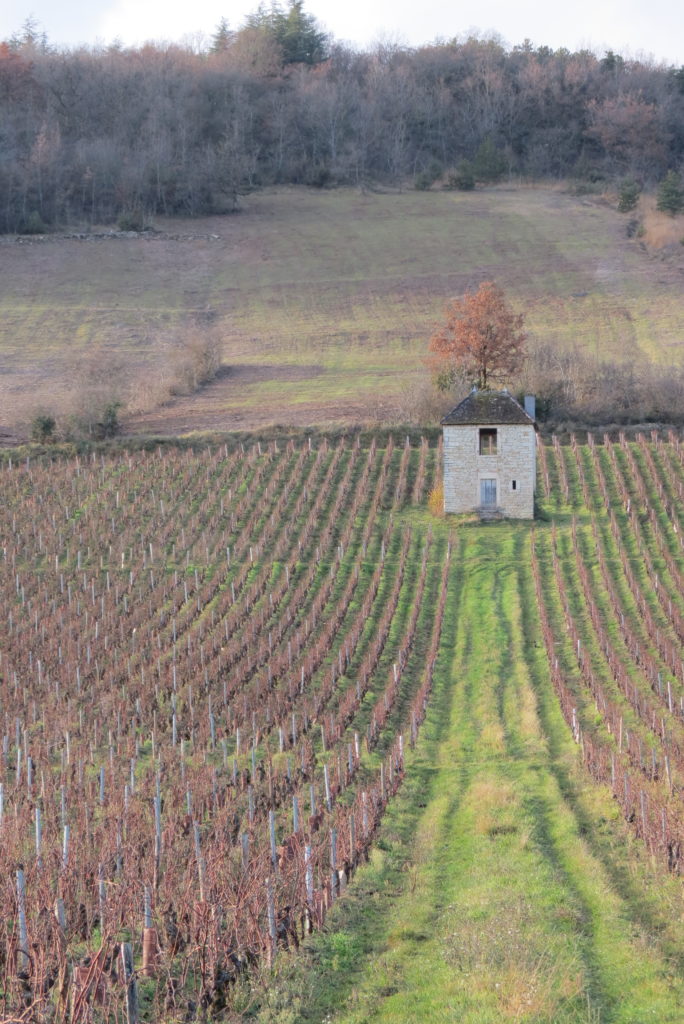 Inscriptions Les Grimpettes à Josette